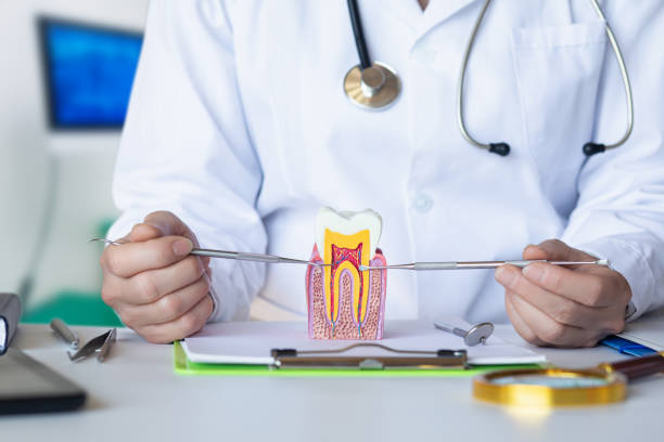 Best Emergency Care for Gum Disease in Grosse Pointe Park, MI